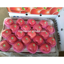 Manzana fresca Fruta fuji fresca en venta